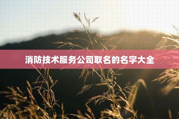 消防技术服务公司取名的名字大全