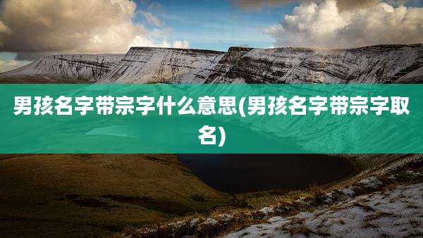 男孩名字带宗字什么意思(男孩名字带宗字取名)