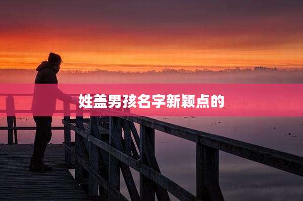 姓盖男孩名字新颖点的
