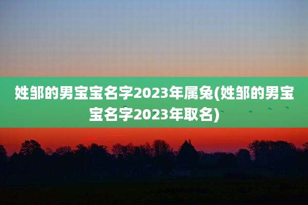 姓邹的男宝宝名字2023年属兔(姓邹的男宝宝名字2023年取名)