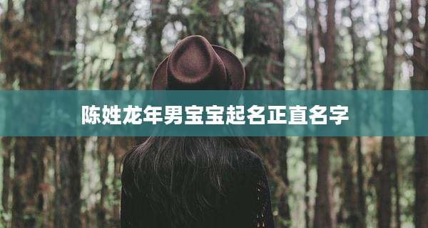 陈姓龙年男宝宝起名正直名字