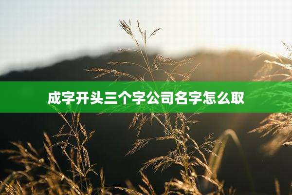成字开头三个字公司名字怎么取