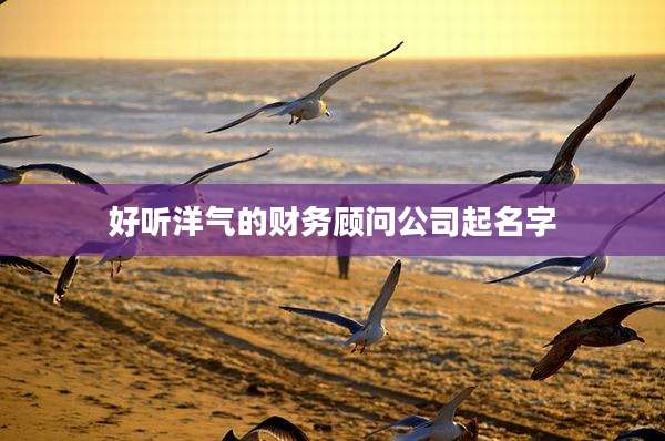好听洋气的财务顾问公司起名字