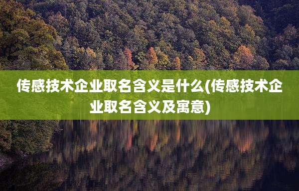 传感技术企业取名含义是什么(传感技术企业取名含义及寓意)
