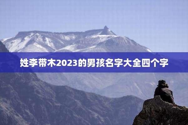 姓李带木2023的男孩名字大全四个字