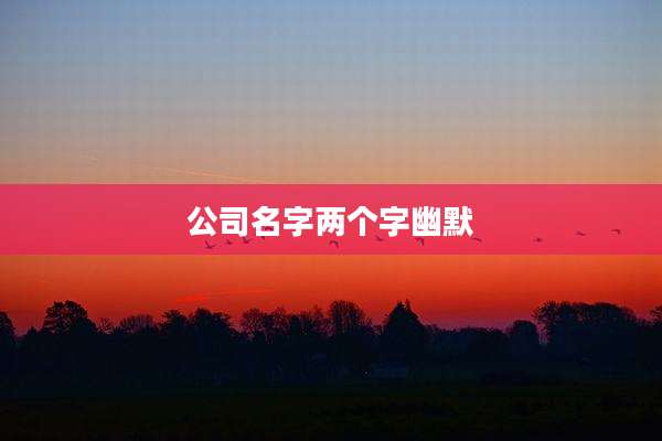 公司名字两个字幽默