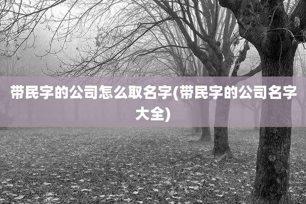 带民字的公司怎么取名字(带民字的公司名字大全)