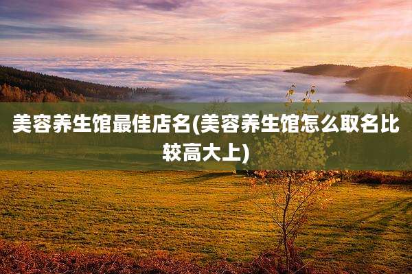 美容养生馆最佳店名(美容养生馆怎么取名比较高大上)