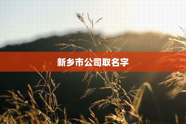 新乡市公司取名字