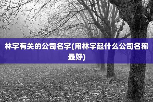林字有关的公司名字(用林字起什么公司名称最好)