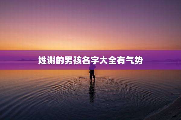 姓谢的男孩名字大全有气势