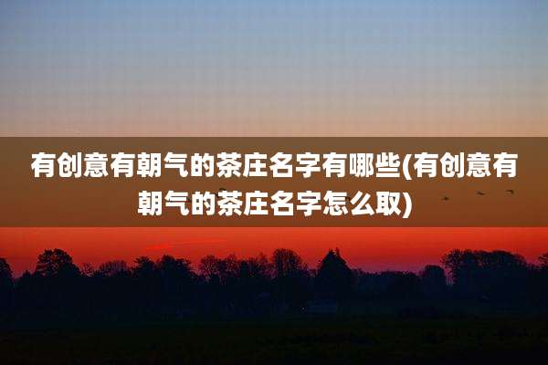 有创意有朝气的茶庄名字有哪些(有创意有朝气的茶庄名字怎么取)