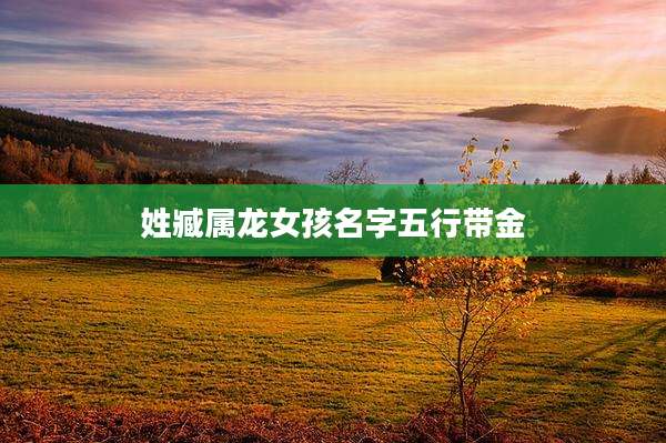姓臧属龙女孩名字五行带金