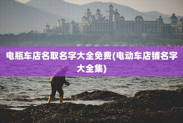 电瓶车店名取名字大全免费(电动车店铺名字大全集)