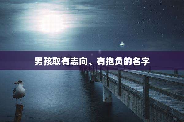 男孩取有志向、有抱负的名字