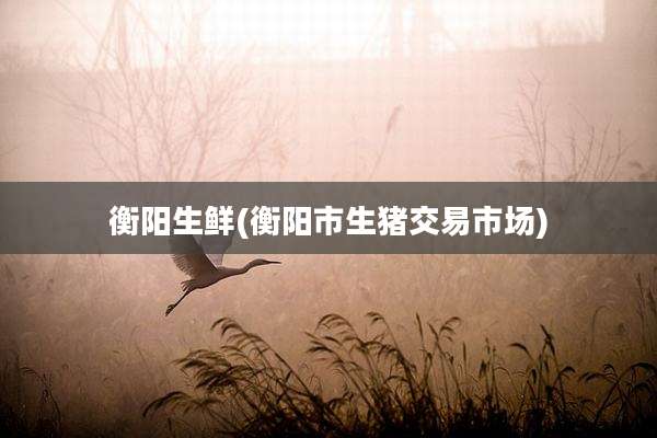 衡阳生鲜(衡阳市生猪交易市场)