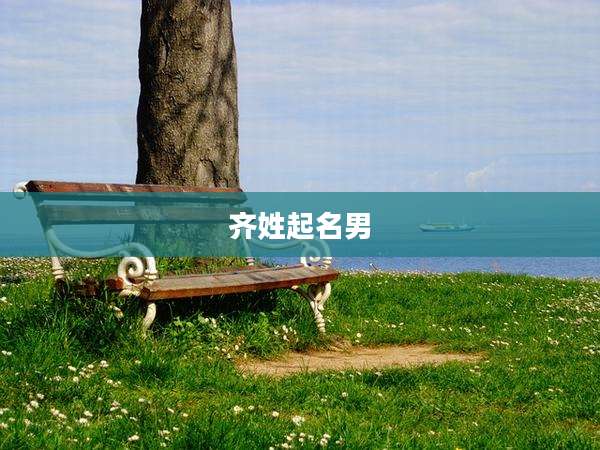 齐姓起名男