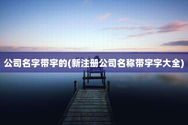 公司名字带宇的(新注册公司名称带宇字大全)