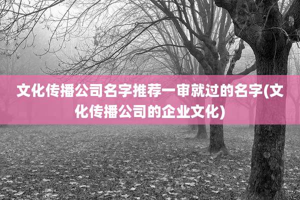 文化传播公司名字推荐一审就过的名字(文化传播公司的企业文化)