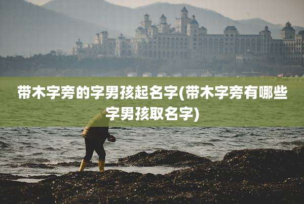 带木字旁的字男孩起名字(带木字旁有哪些字男孩取名字)