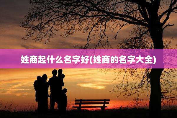 姓商起什么名字好(姓商的名字大全)