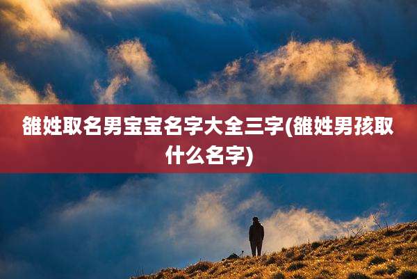 雒姓取名男宝宝名字大全三字(雒姓男孩取什么名字)