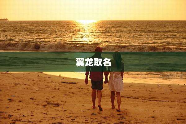 翼龙取名