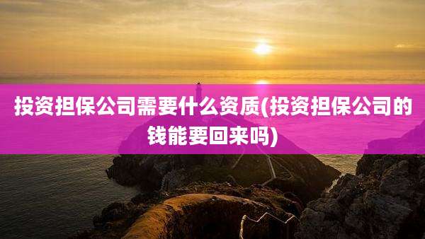 投资担保公司需要什么资质(投资担保公司的钱能要回来吗)