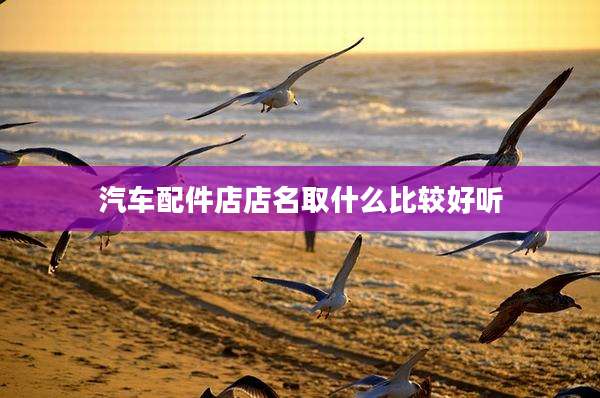 汽车配件店店名取什么比较好听