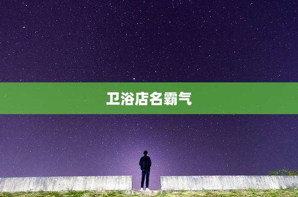 卫浴店名霸气