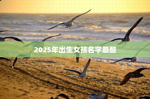 2025年出生女孩名字最酷