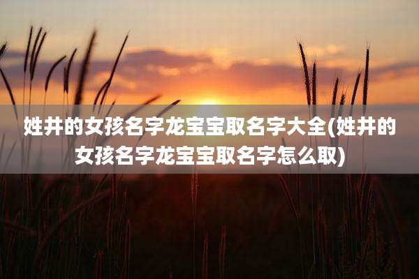 姓井的女孩名字龙宝宝取名字大全(姓井的女孩名字龙宝宝取名字怎么取)