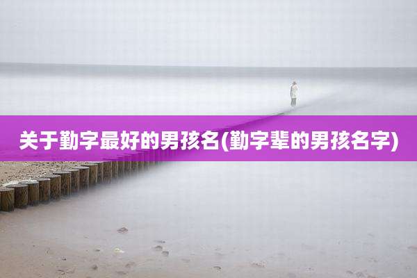 关于勤字最好的男孩名(勤字辈的男孩名字)