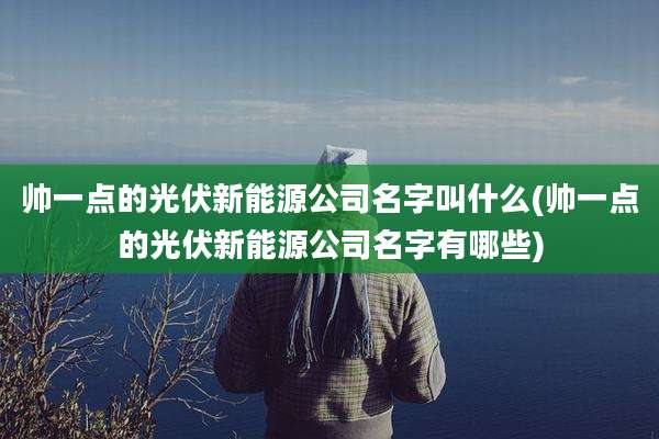帅一点的光伏新能源公司名字叫什么(帅一点的光伏新能源公司名字有哪些)