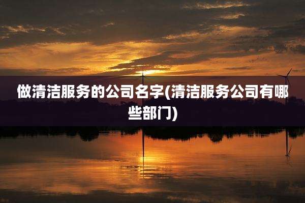 做清洁服务的公司名字(清洁服务公司有哪些部门)