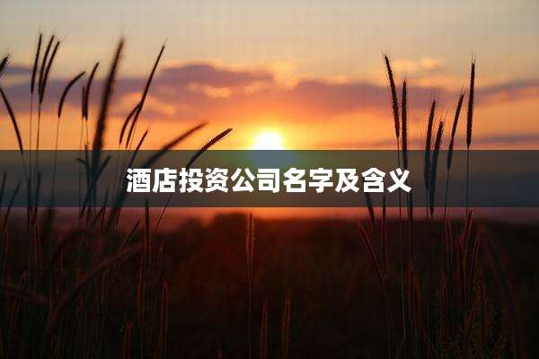 酒店投资公司名字及含义