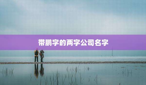 带鹏字的两字公司名字