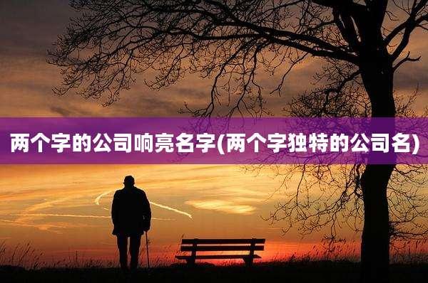 两个字的公司响亮名字(两个字独特的公司名)