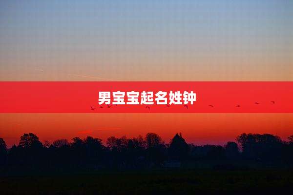 男宝宝起名姓钟