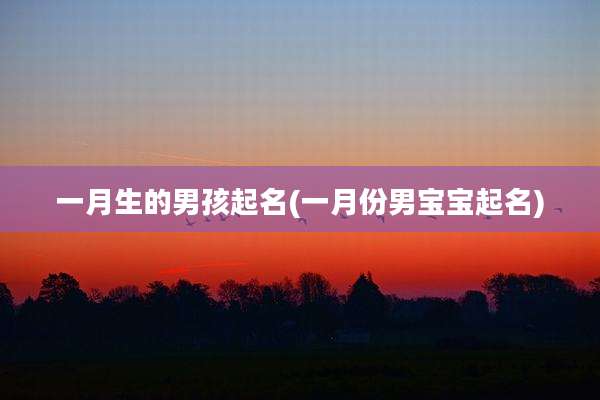 一月生的男孩起名(一月份男宝宝起名)