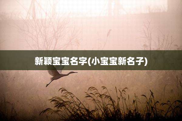 新颖宝宝名字(小宝宝新名子)