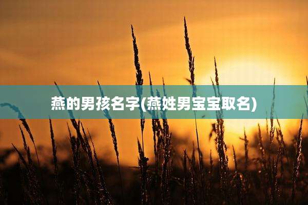 燕的男孩名字(燕姓男宝宝取名)