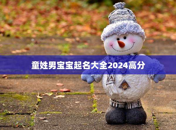 童姓男宝宝起名大全2024高分