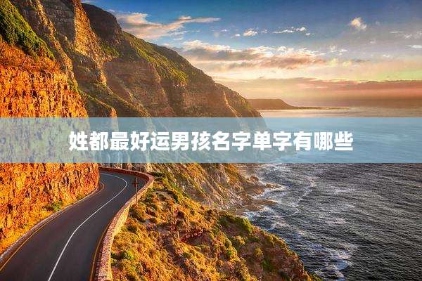 姓都最好运男孩名字单字有哪些