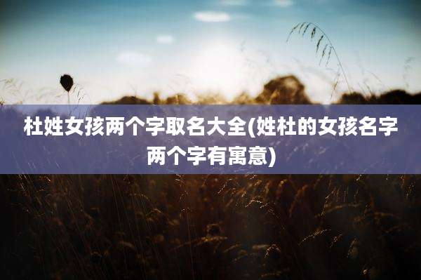 杜姓女孩两个字取名大全(姓杜的女孩名字两个字有寓意)