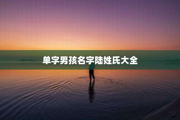 单字男孩名字陆姓氏大全