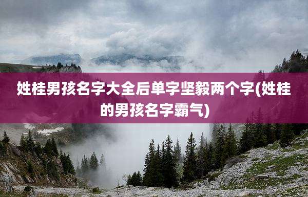 姓桂男孩名字大全后单字坚毅两个字(姓桂的男孩名字霸气)