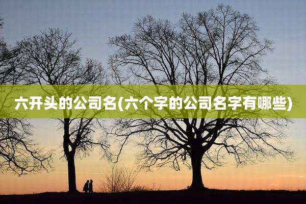 六开头的公司名(六个字的公司名字有哪些)