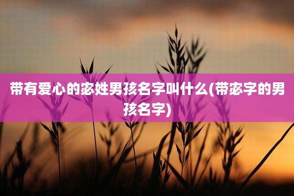 带有爱心的宓姓男孩名字叫什么(带宓字的男孩名字)