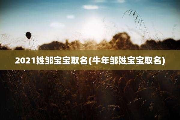 2021姓邹宝宝取名(牛年邹姓宝宝取名)